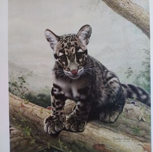 Charles Frace artist print. " Clouded Leopard Cub". Stamped signed and numbered